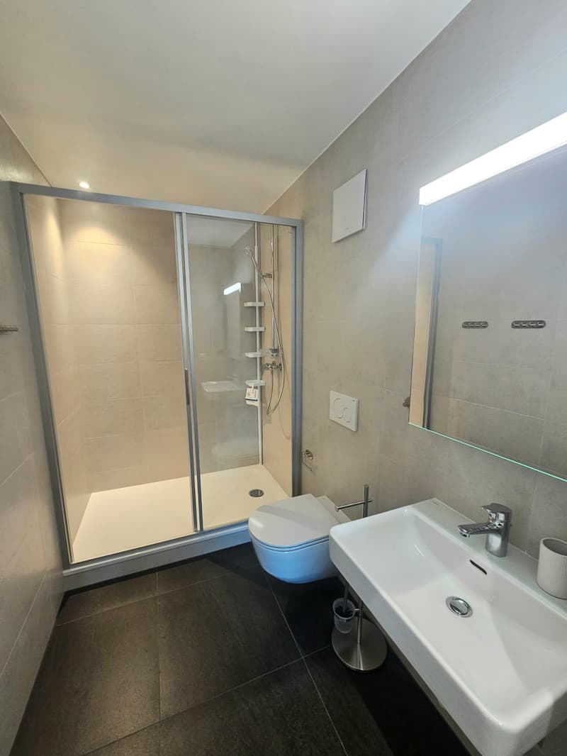 Appartement 3 pièces moderne avec vue imprenable à Yverdon-les-Bains (7)