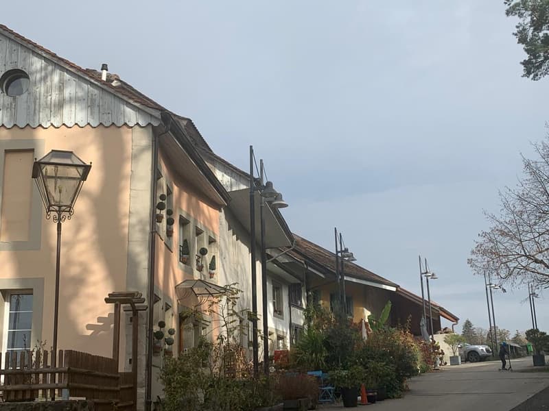 Maison de caractère historique à vendre à Moudon (11)