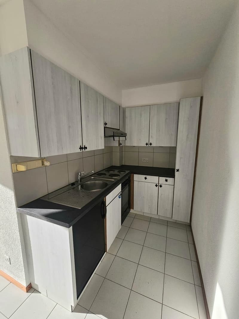 Appartement 2 pièces avec balcon au Quai de la Thiële (4)