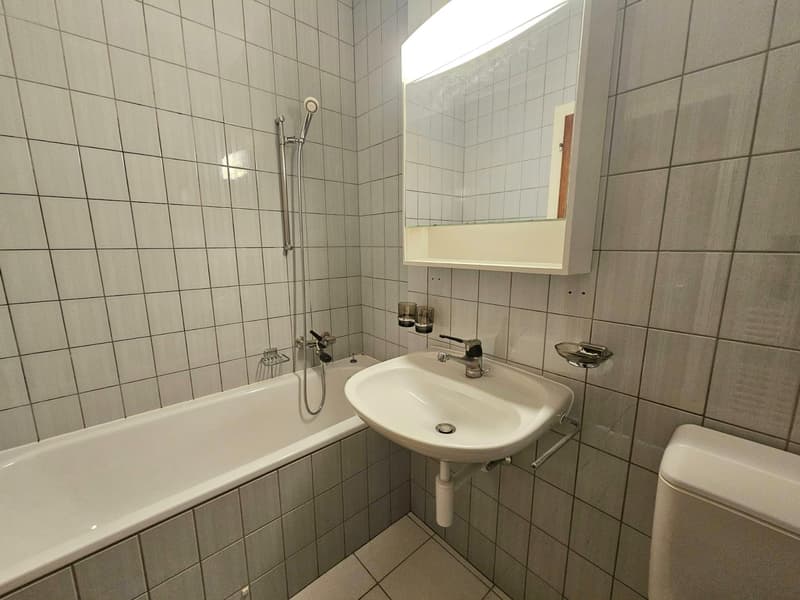 Appartement 2 pièces avec balcon au Quai de la Thiële (7)