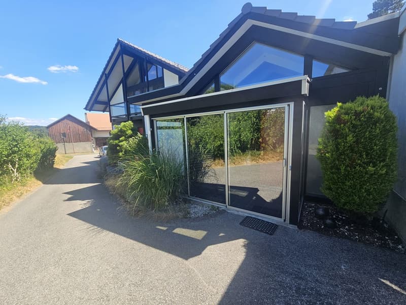 RARE ! Charmant appartement de 2.5 pièces à Morrens avec terrasse et jardin (1)