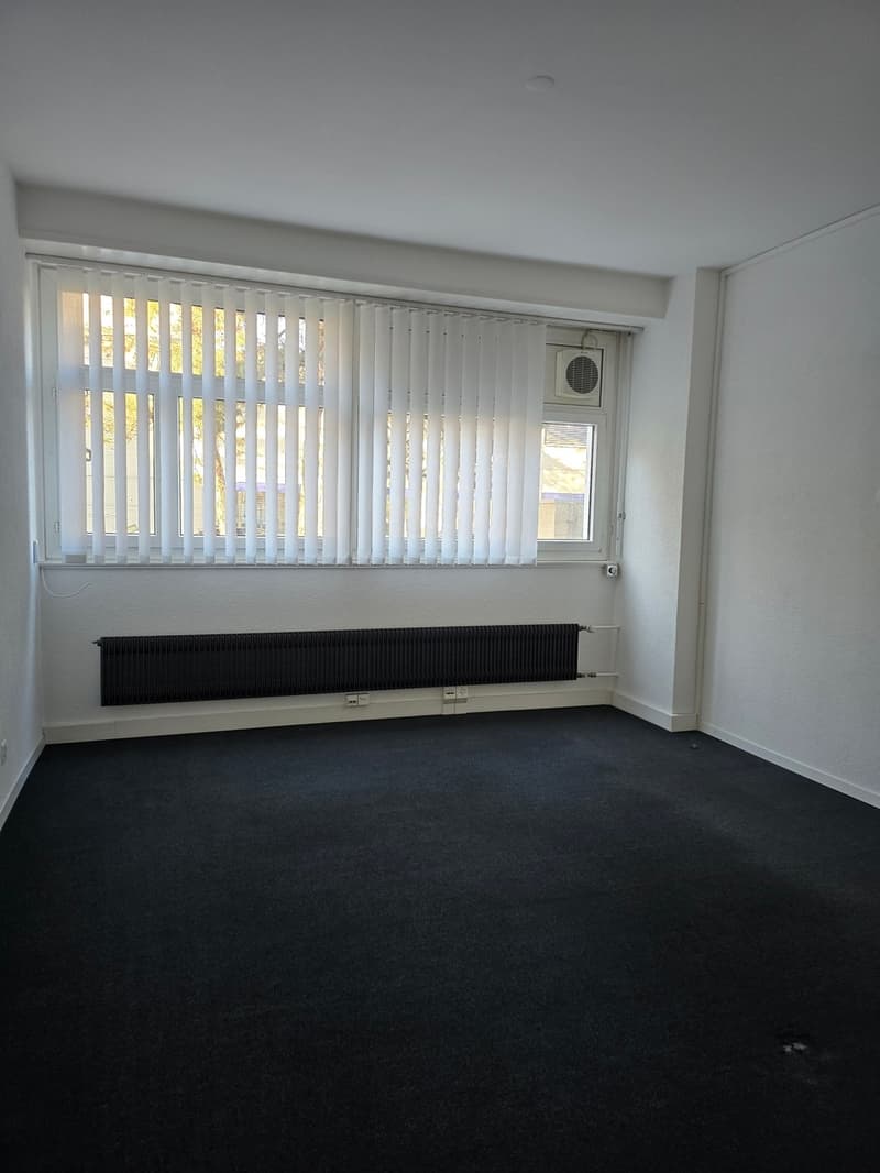 Surface commerciale de 163 m2 (4)