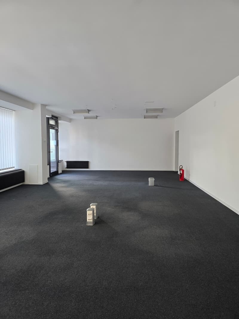 Surface commerciale de 163 m2 (2)