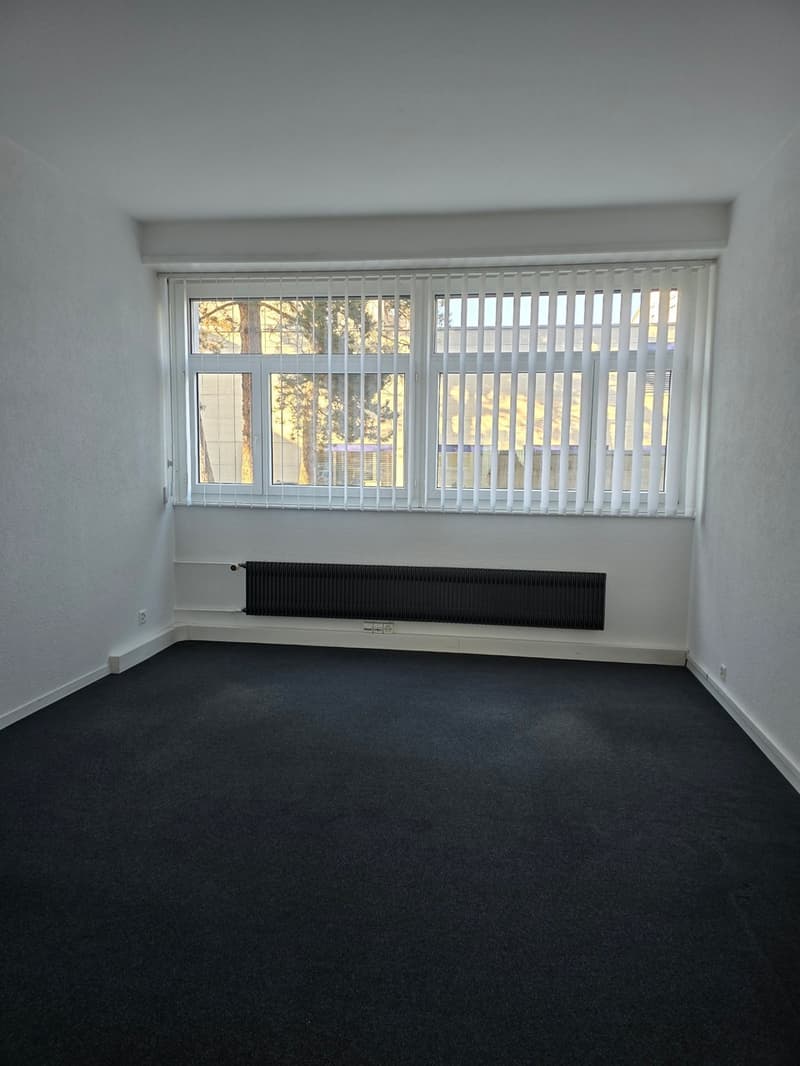 Surface commerciale de 163 m2 (5)