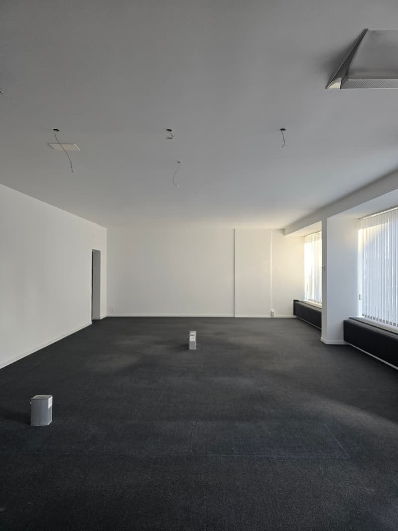 Surface commerciale de 163 m2 (3)