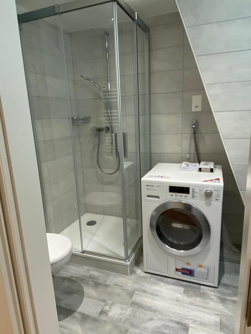 Beau 3.5 pièces - Machine à laver/sécher intégrée (13)