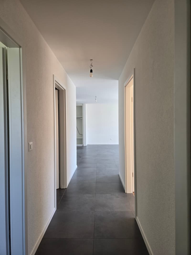 Logement 4,5 pièces au 1er étage de 100 m2, avec ascenseur (3)