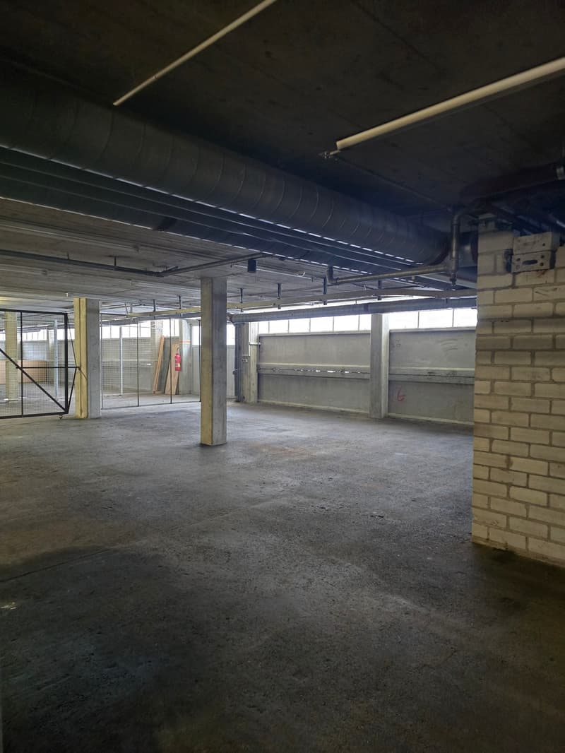 Dépôts à louer - Surfaces de 45 m2 à 157 m² - Zone industrielle (4)