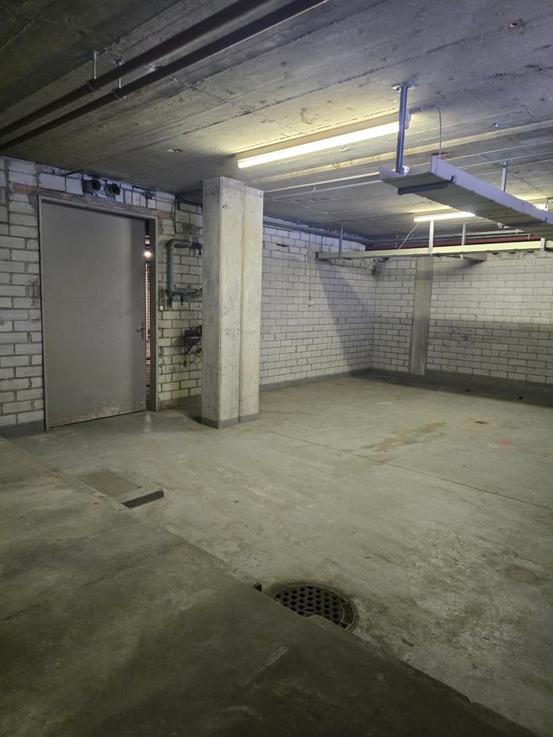 Dépôts à louer - Surfaces de 45 m2 à 157 m² - Zone industrielle (5)