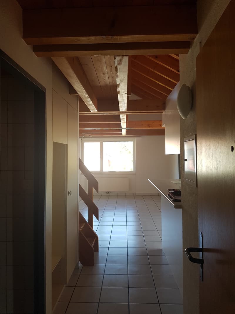 Attique en duplex de 84 m2 au 3ème étage, sans ascenseur (4)