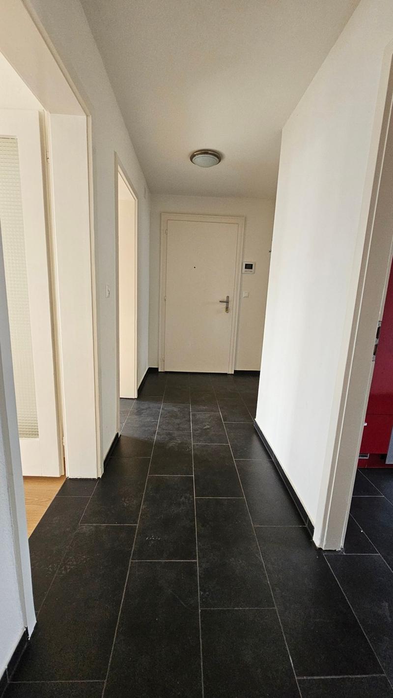 Lumineux 3 pièces avec grande terrasse (5)
