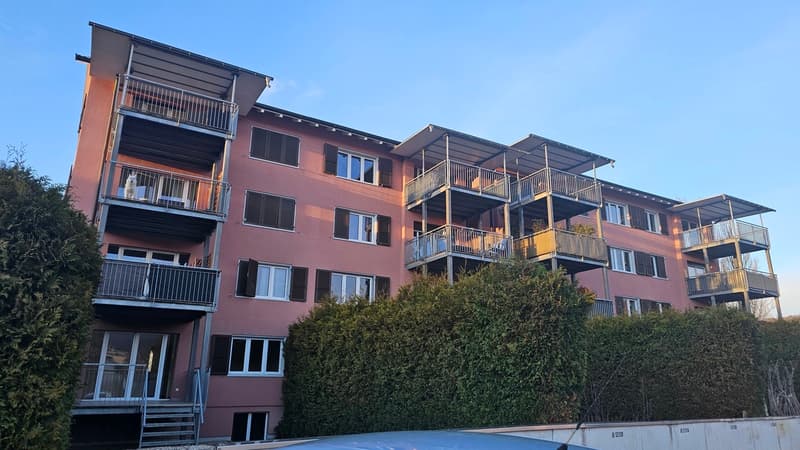 Lumineux 3 pièces avec grande terrasse (3)