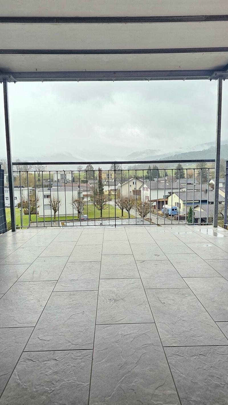 Lumineux 3 pièces avec grande terrasse (9)