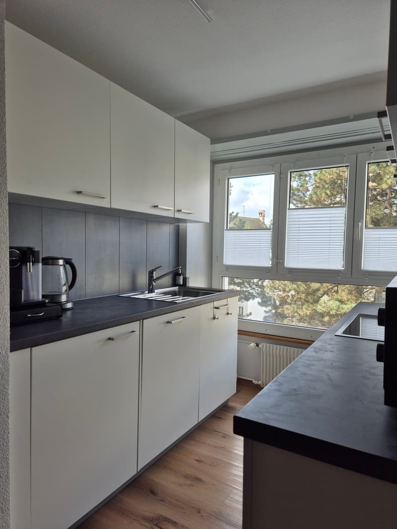 Appartement 2 pièces de 47,50 m2 au4ème étage avec ascenseur & balcon (7)