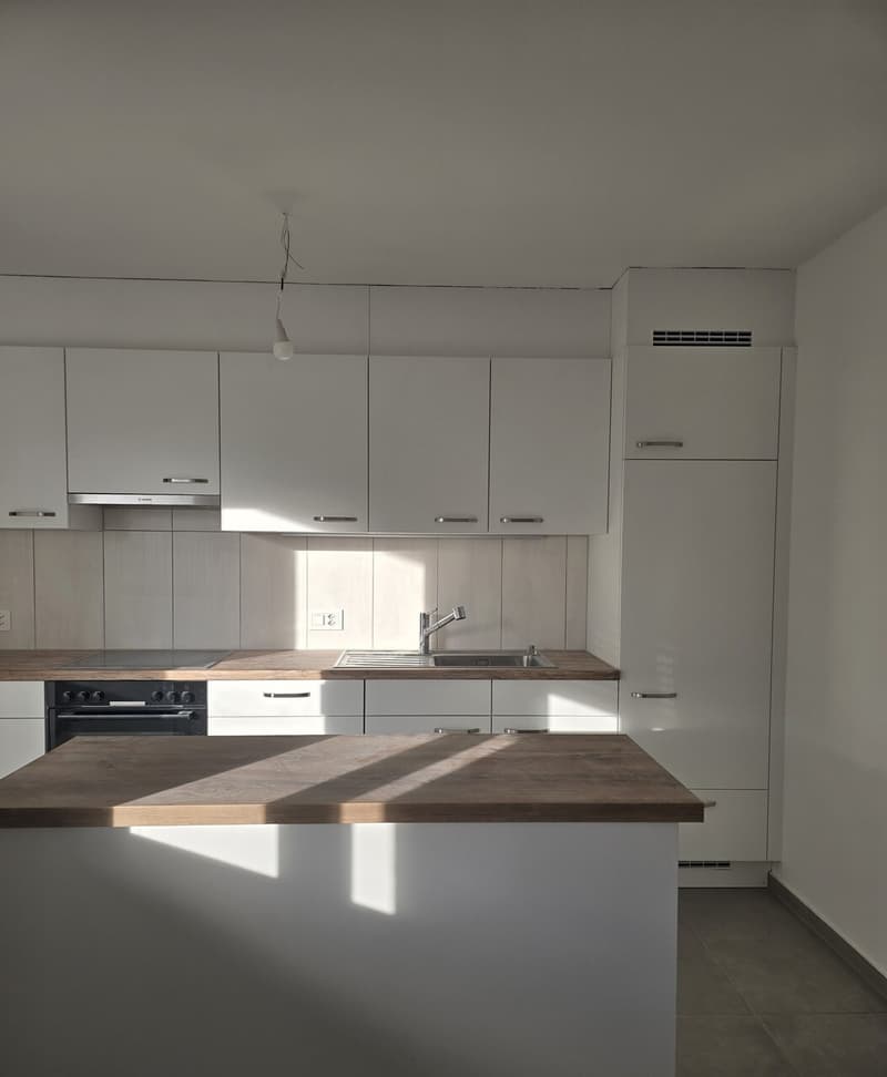 Appartement 4,5 pièces de 88 m2 au 1er étage sans ascenseur (3)
