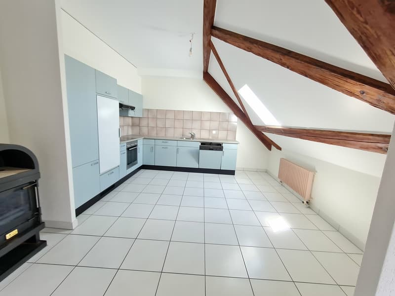 Duplex lumineux 4 pces de 94m2 - A deux pas de l'hôpital (2)