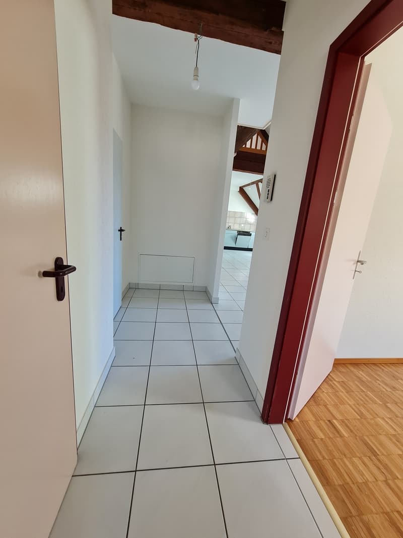 Duplex lumineux 4 pces de 94m2 - A deux pas de l'hôpital (8)