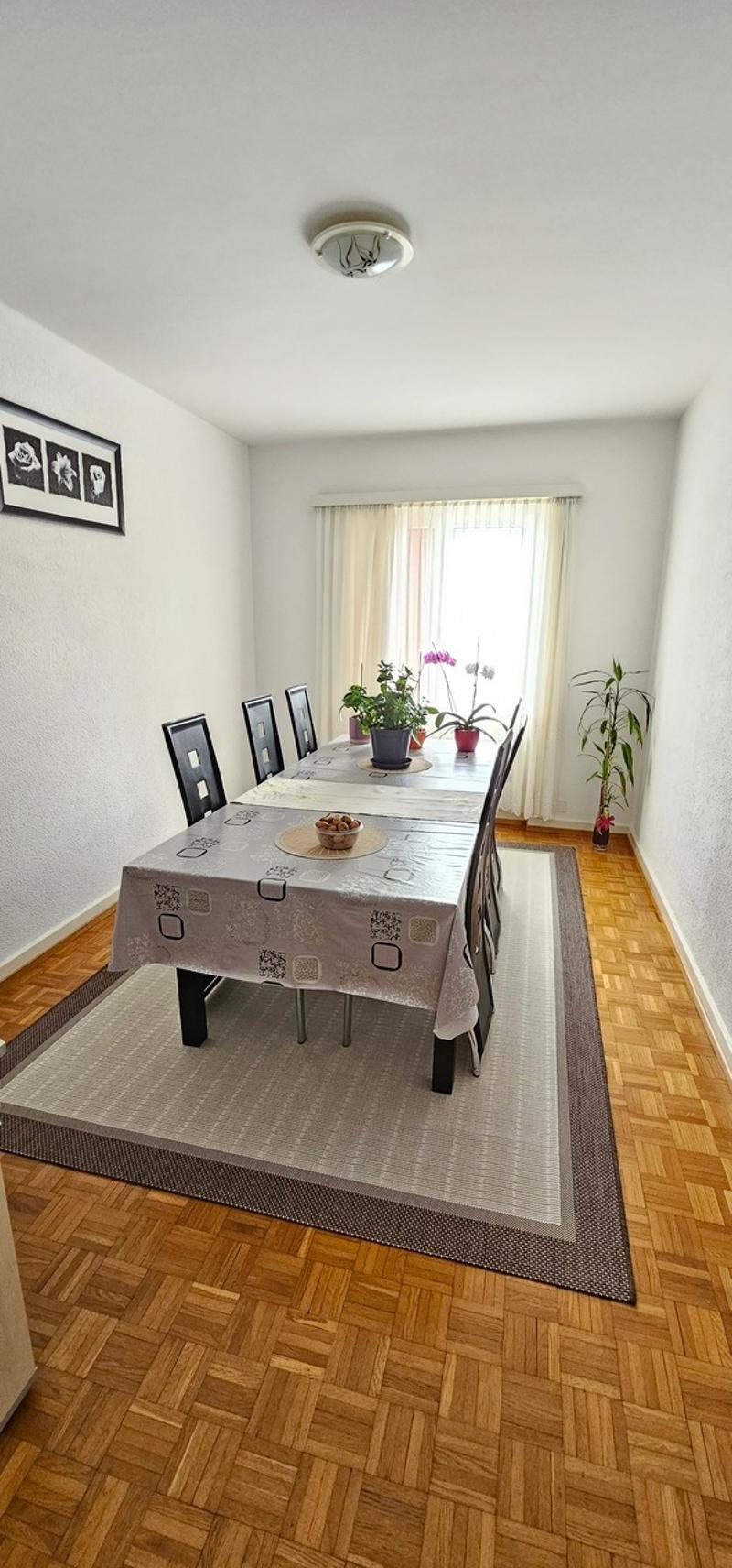 Appartement de 4 pièces avec grande terrasse couverte (6)