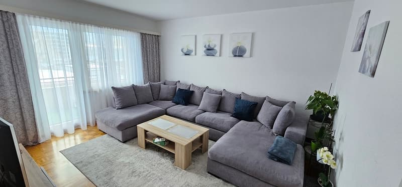 Appartement de 4 pièces avec grande terrasse couverte (2)