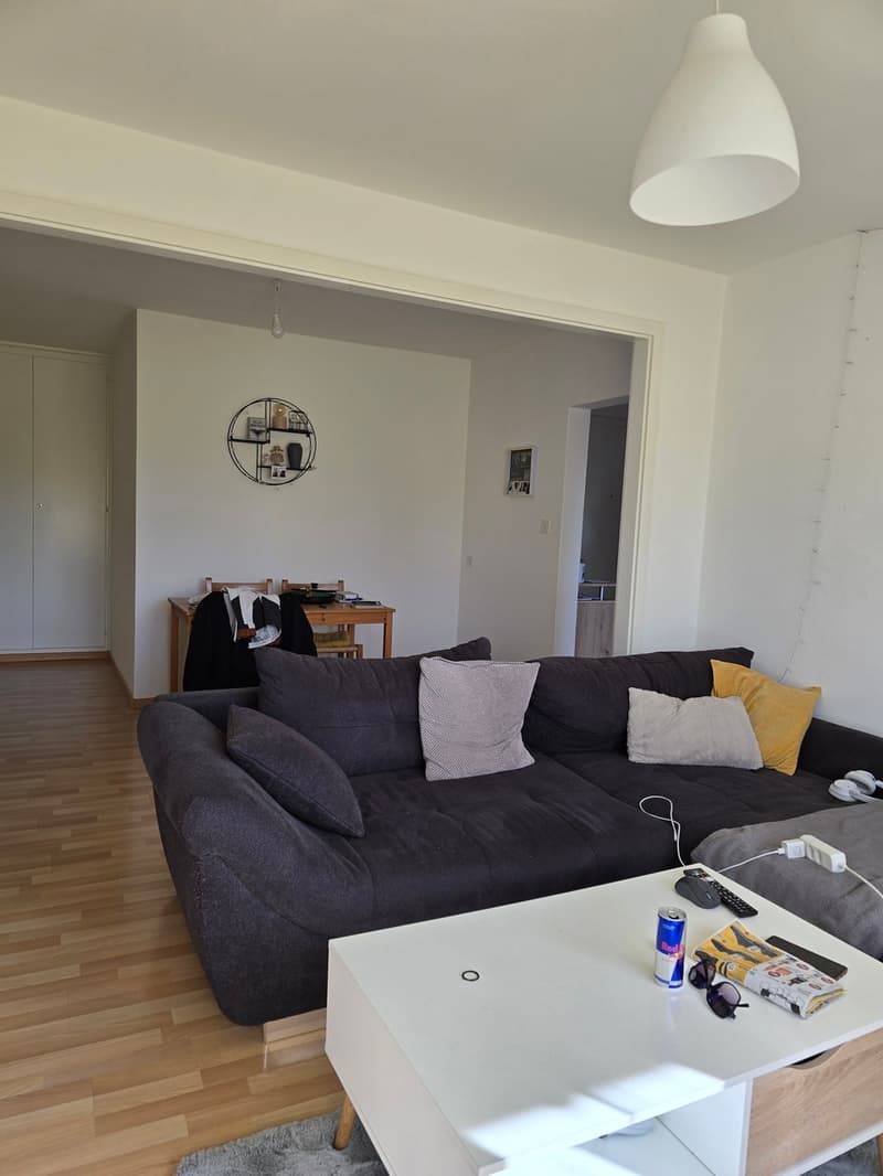 Appartement 3 pièces de 67 m2 au 1er étage sans ascenseur (2)
