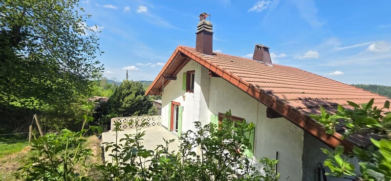 Havre de paix au coeur du Jura - Maison pleine de charme (13)