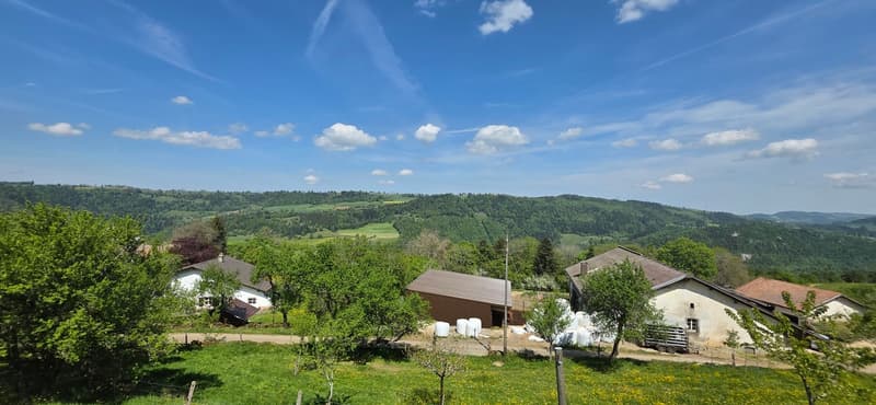 Havre de paix au coeur du Jura - Maison pleine de charme (11)