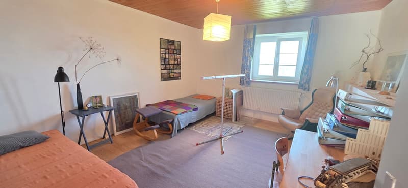Havre de paix au coeur du Jura - Maison pleine de charme (8)