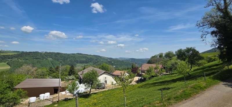 Havre de paix au coeur du Jura - Maison pleine de charme (10)