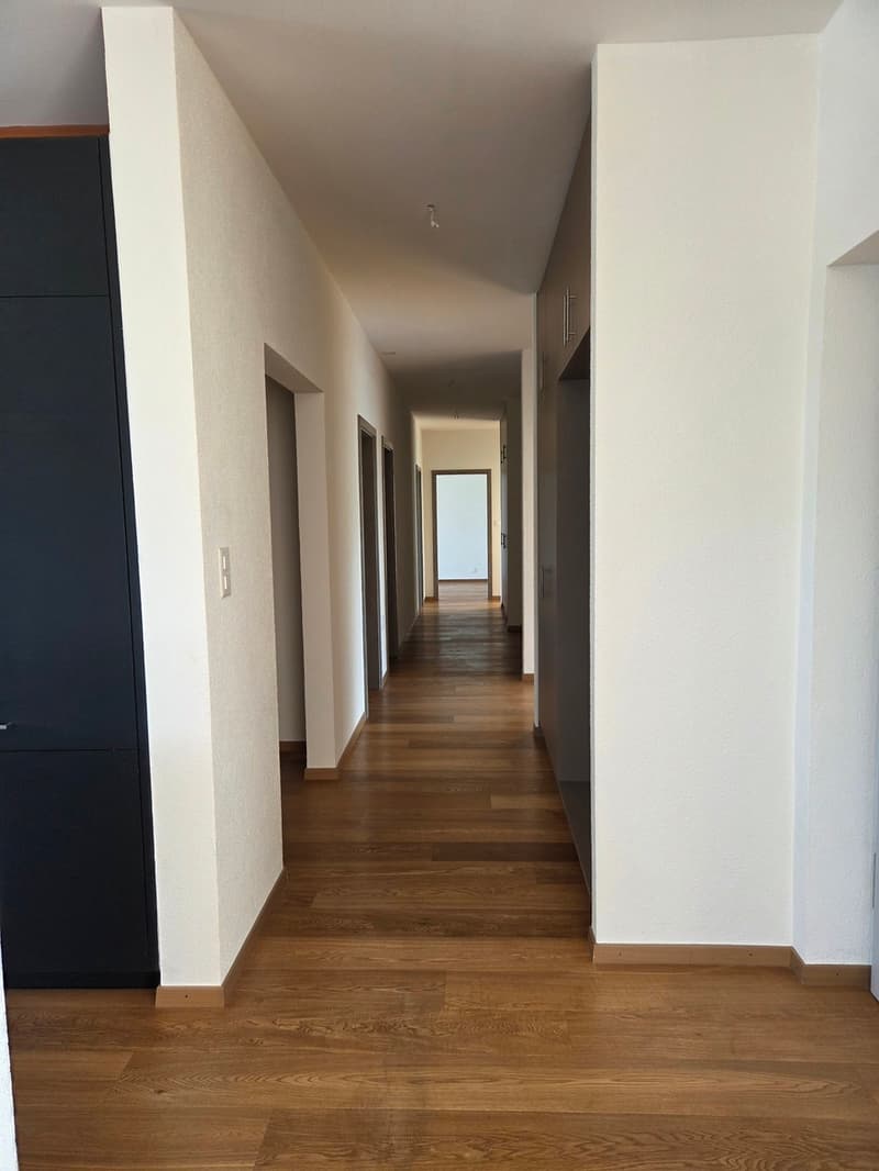 Appartement d'exception au 6ème étage avec vue imprenable sur Delémont (3)