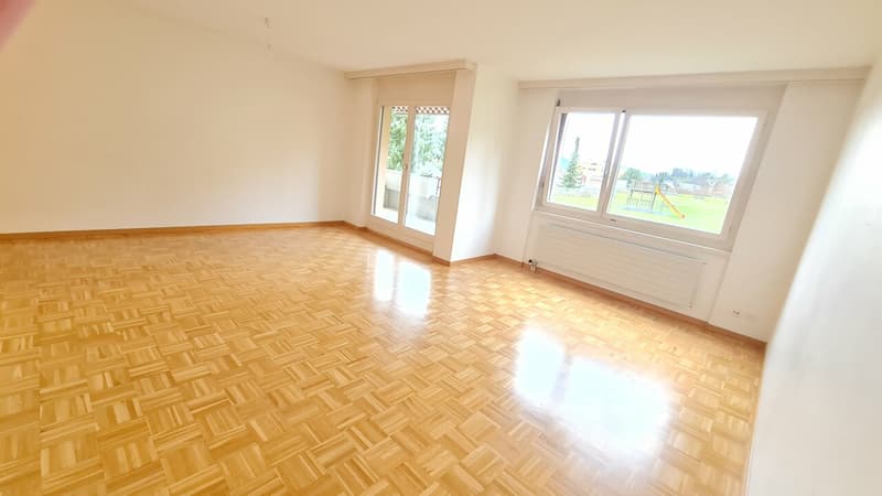 Appartement 5.5 pièces au rez-de-chaussée (5)