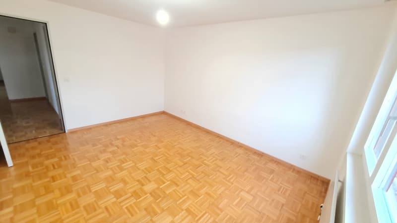 Appartement 5.5 pièces au rez-de-chaussée (12)