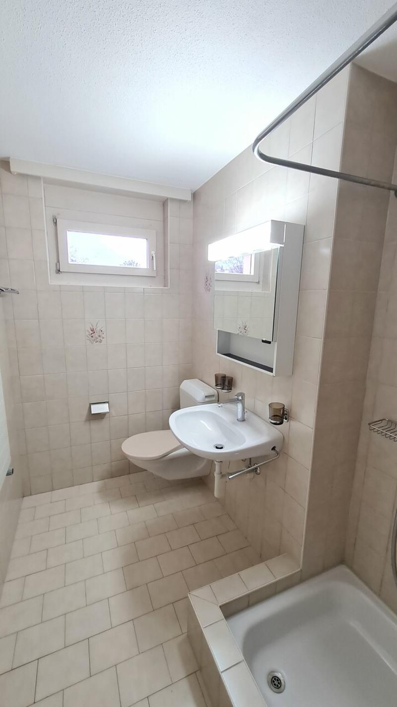 Appartement 5.5 pièces au rez-de-chaussée (8)