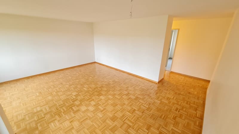 Appartement 5.5 pièces au rez-de-chaussée (2)