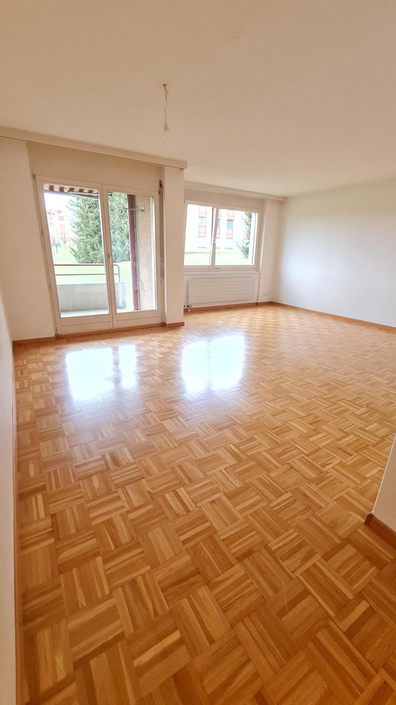 Appartement 5.5 pièces au rez-de-chaussée (3)