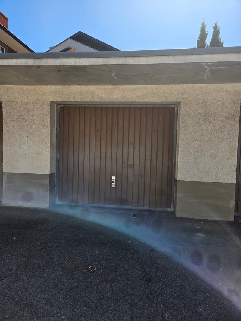 Garage individul (1)
