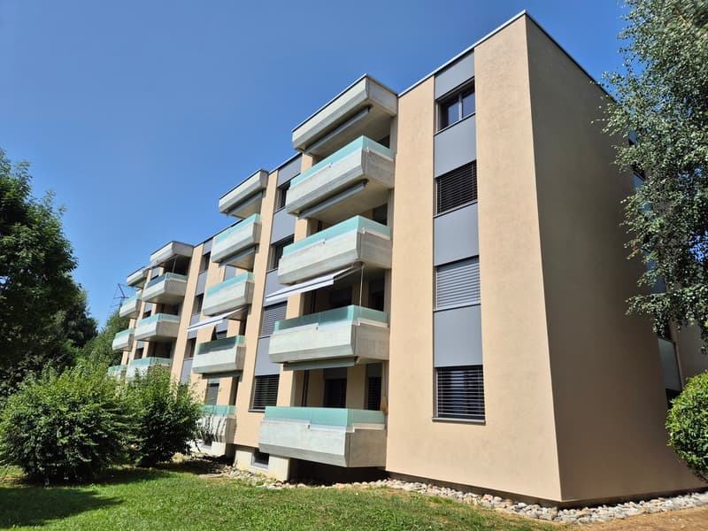 Charmant 2,5 pièces rénové (1)