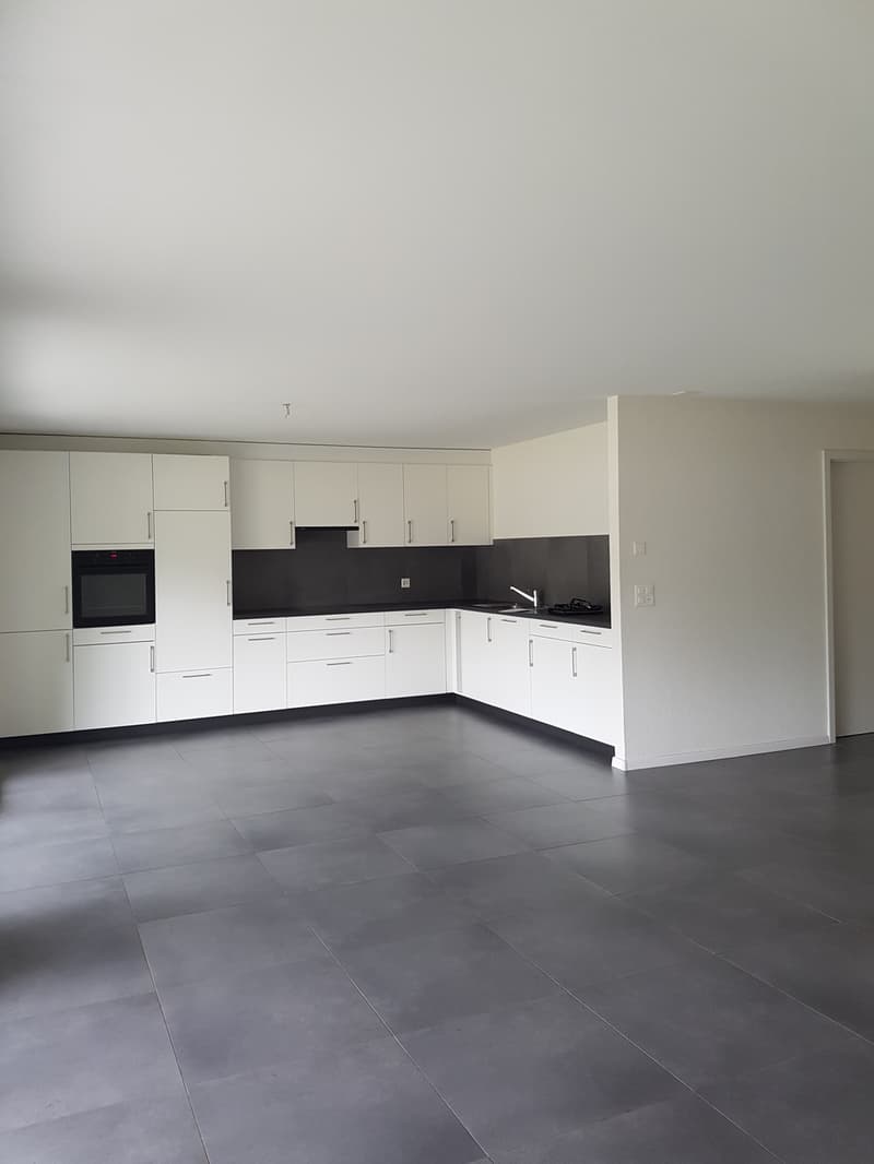 Appartement de 4.5 pièces avec terrasse (1)