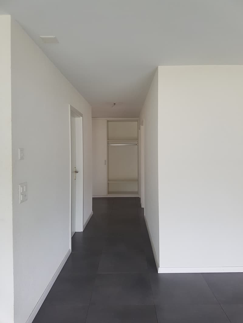 Appartement de 4.5 pièces avec terrasse (6)