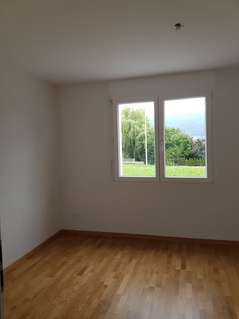 Appartement de 4.5 pièces avec terrasse (2)
