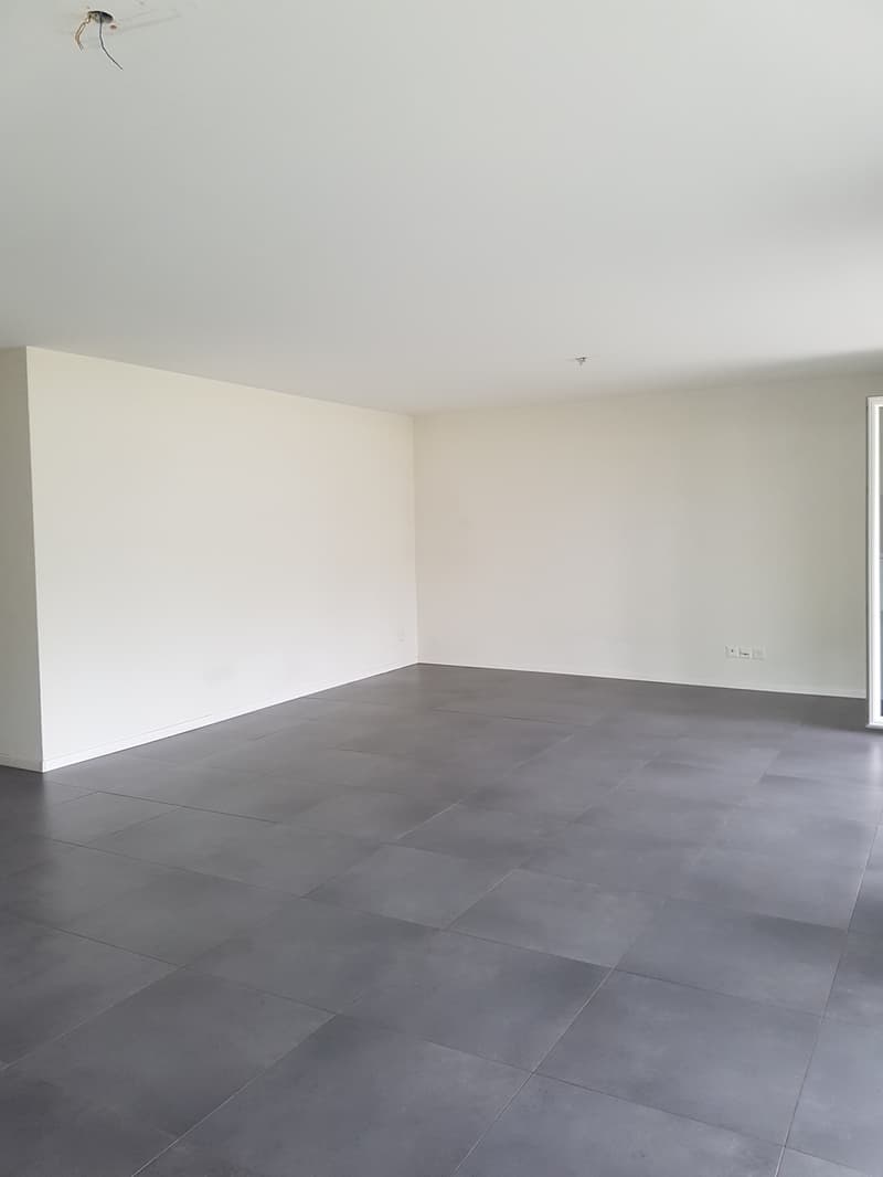 Appartement de 4.5 pièces avec terrasse (8)