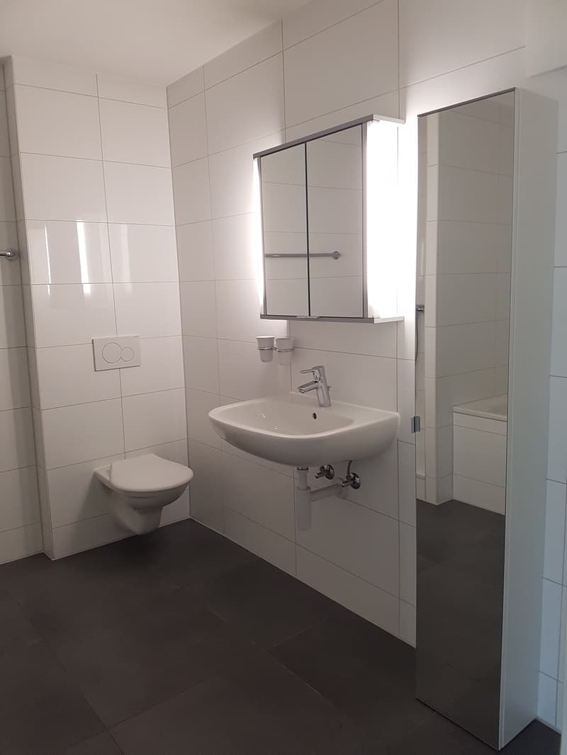 Appartement de 4.5 pièces avec terrasse (3)