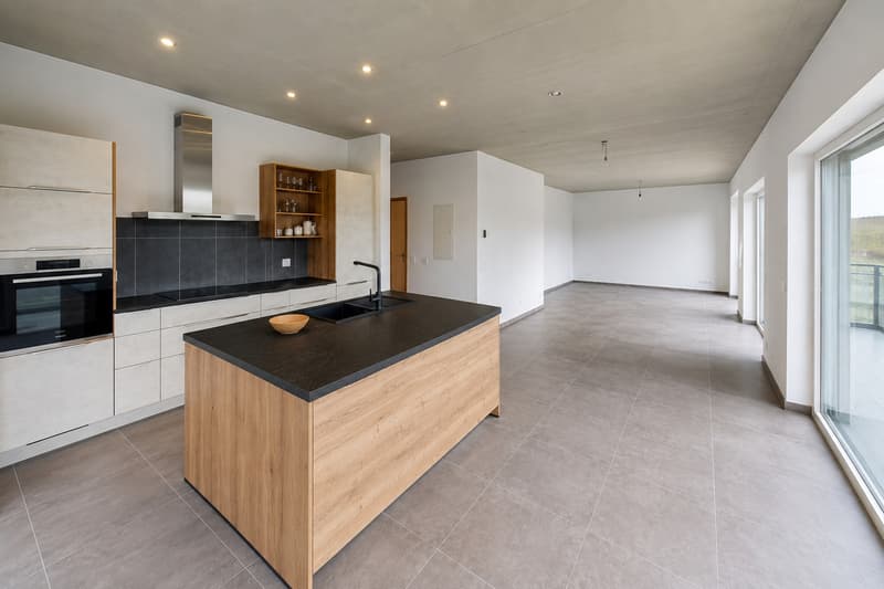 Confort et volumes généreux - Superbe 3.5 pièces avec 36m2 de terrasse (1)