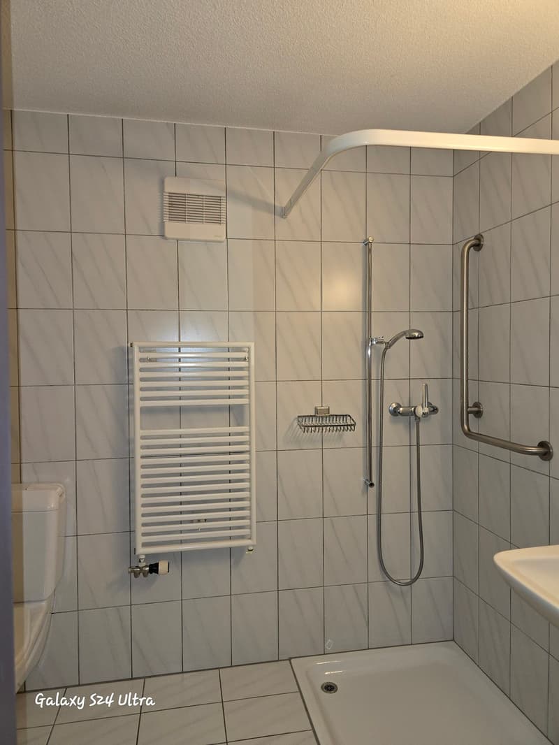 Appartement lumineux de 40 m2 situé au 3ème étage (7)