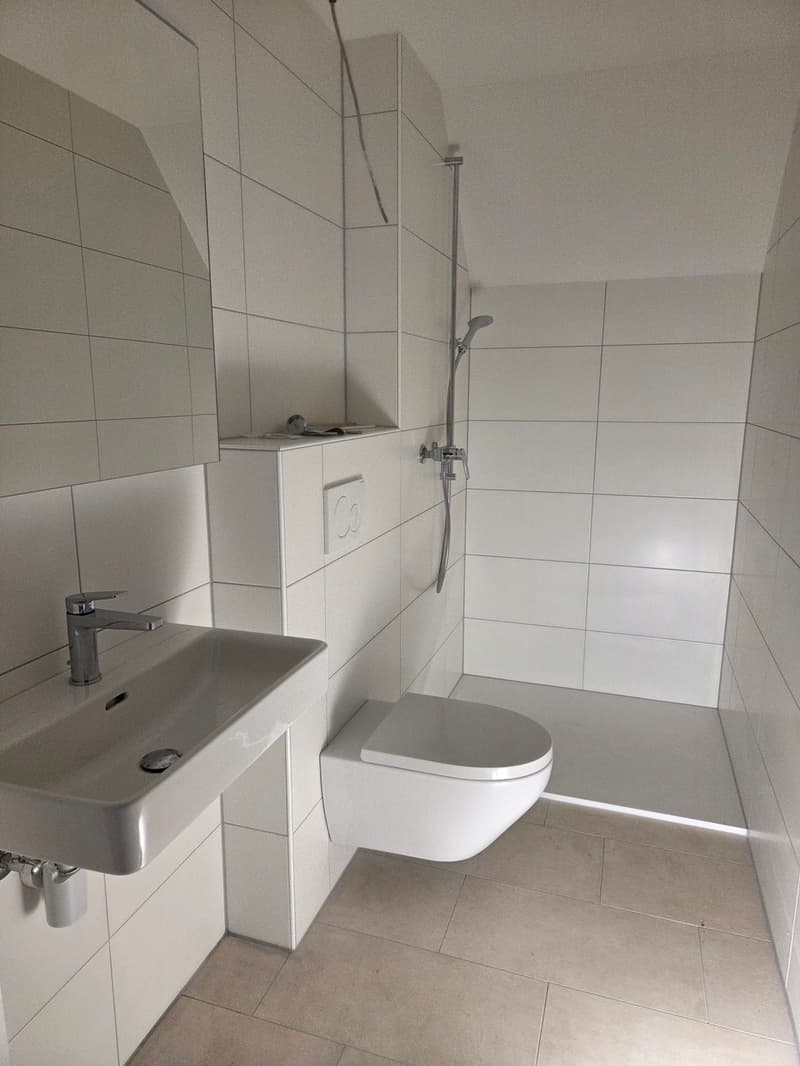 Attique en duplex avec cachet ! (2)