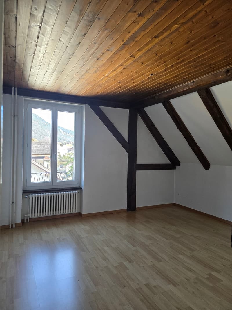 Attique en duplex avec cachet ! (5)