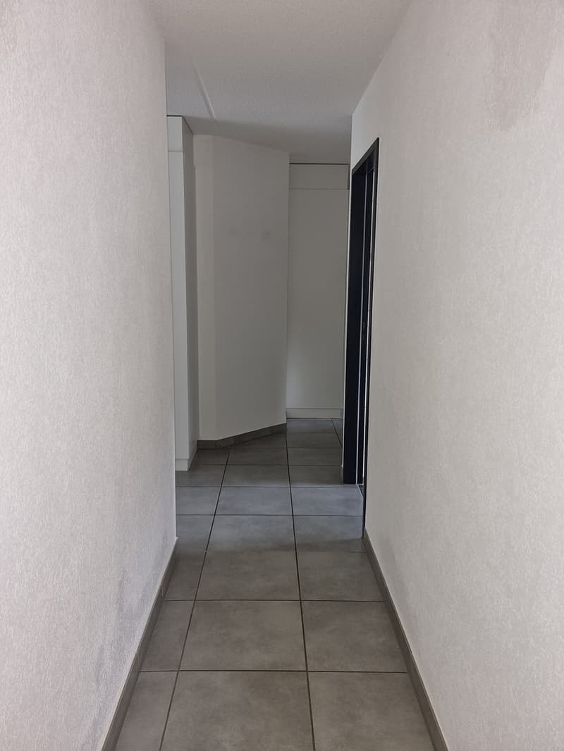 Spacieux et lumineux logement de 119 m2 (9)