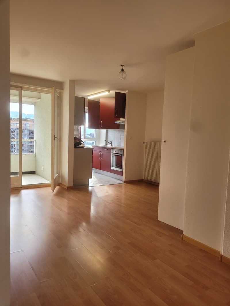 Appartement lumineux de 83 m2 (2)
