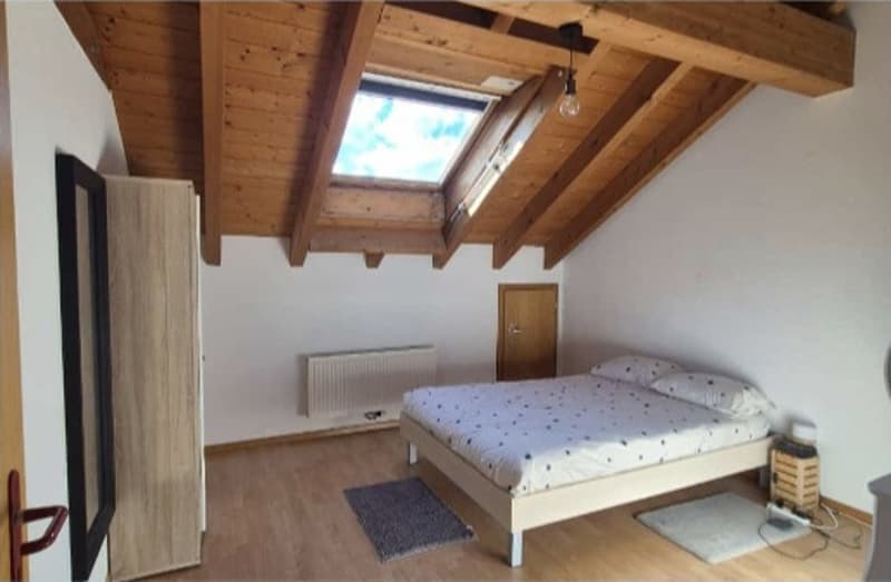 Charmant appartement de 3.5 pièces avec mezzanine (2)