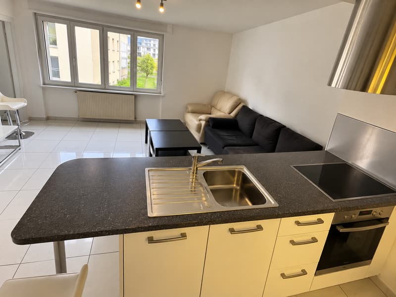 Rare à la location - 3.5 pces entièrement meublé (5)