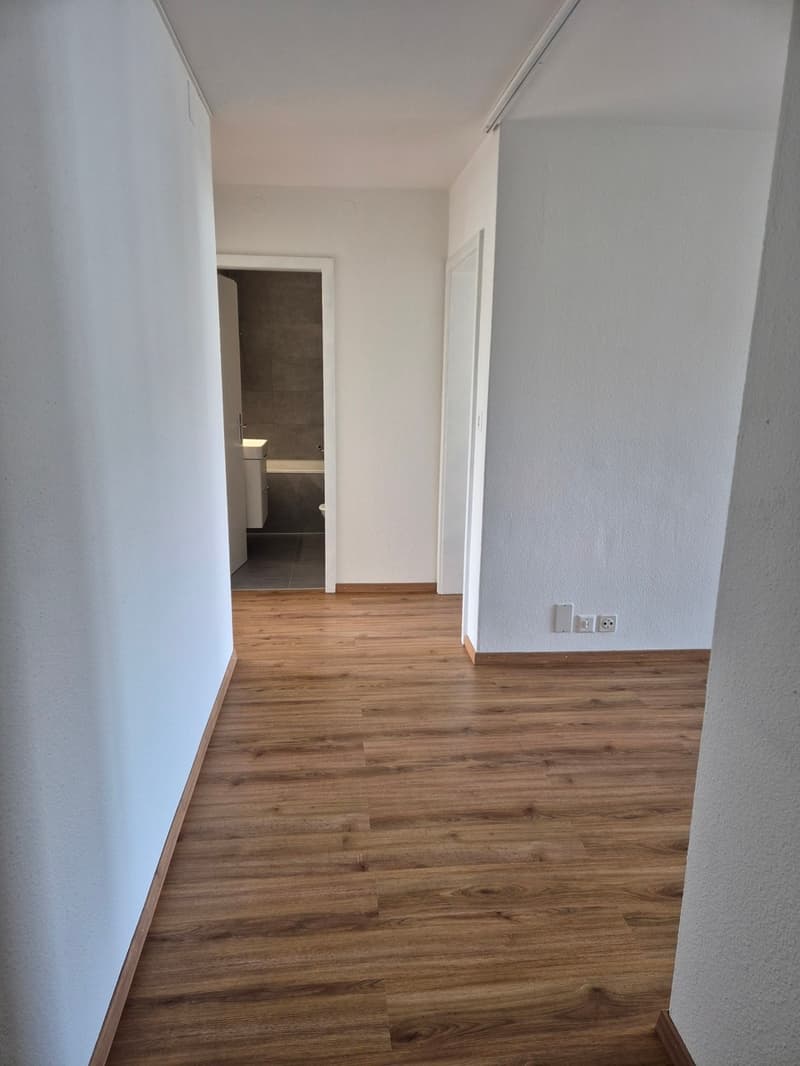 Appartement de 3 pièces au 7ème étage (6)